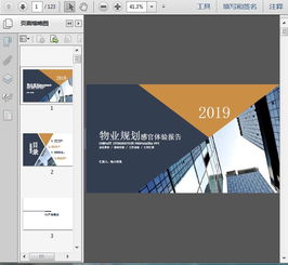 2019精品公寓項(xiàng)目物業(yè)規(guī)劃感官體驗(yàn)報(bào)告 清洗及保潔服務(wù)